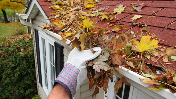 Roof Maintenance