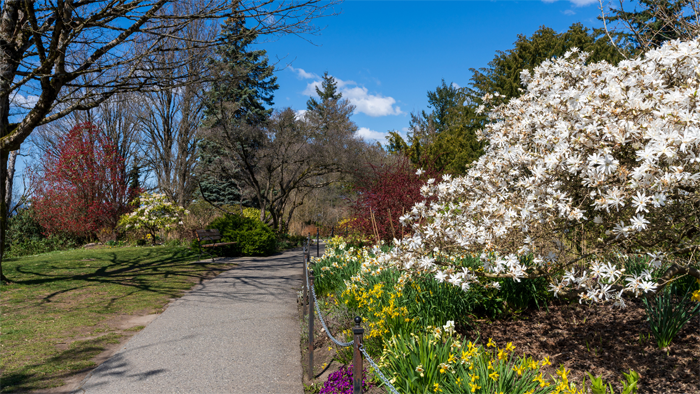 Spring in Vancouver