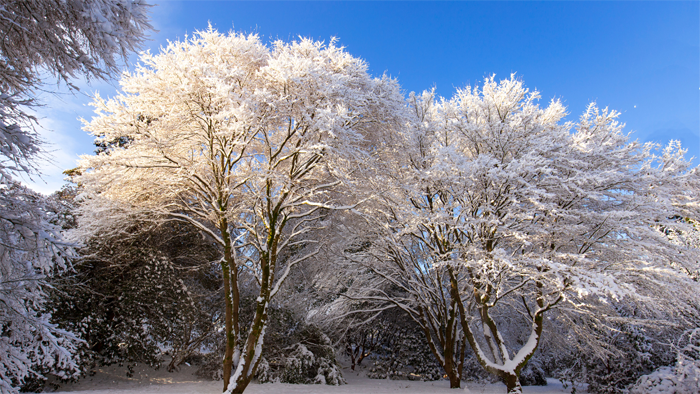 Winter in Vancouver